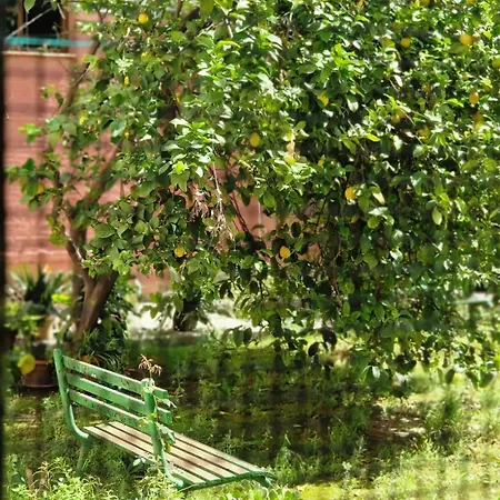 아파트 Bright In With Private Garden 세비야